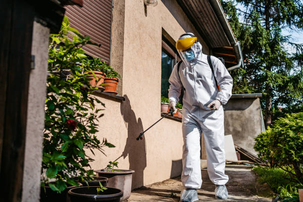 Trusted Virginia Beach, VA Pest Control Experts