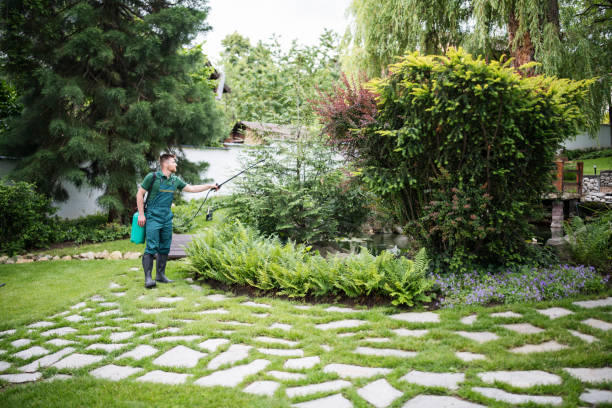 Best Pest Control for Businesses  in Virginia Beach, VA