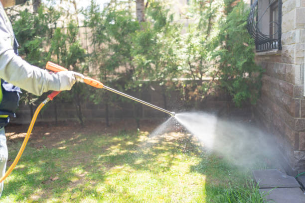 Best Rodent Control Near Me  in Virginia Beach, VA
