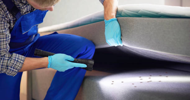 Pest Control for Restaurants in Virginia Beach, VA