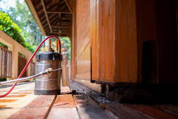 Best Exterminator Services  in Virginia Beach, VA